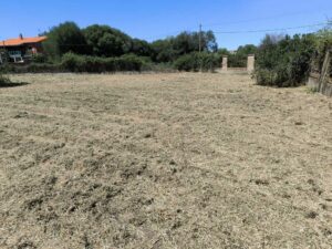 finca con hierba segada