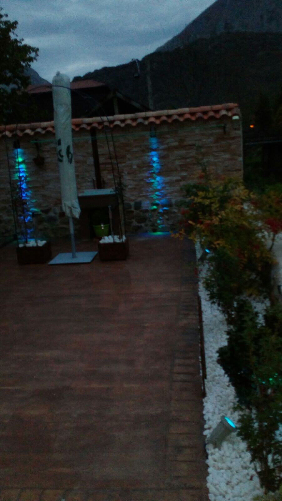 Diseño de patio y jardín