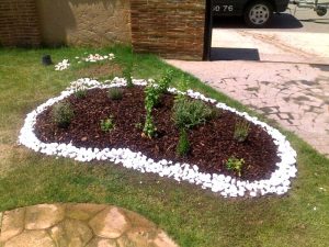 jardín con plantas aromáticas