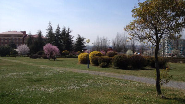 mantenimiento jardines otoño León