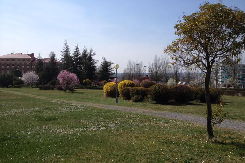 mantenimiento jardines otoño León