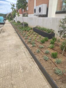 jardín en paseo con riego automático