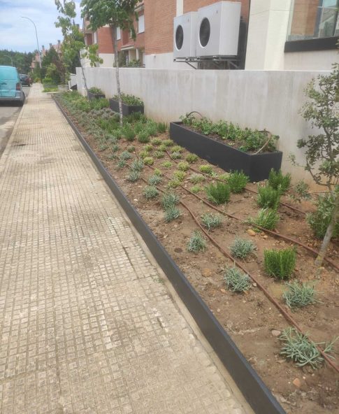 jardín en paseo con riego automático