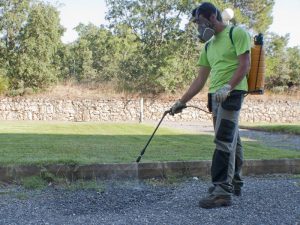 eliminado malas hierbas